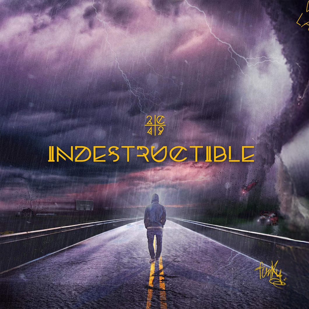 10TH Anniversary -INDESTRUCTIBLE - LP